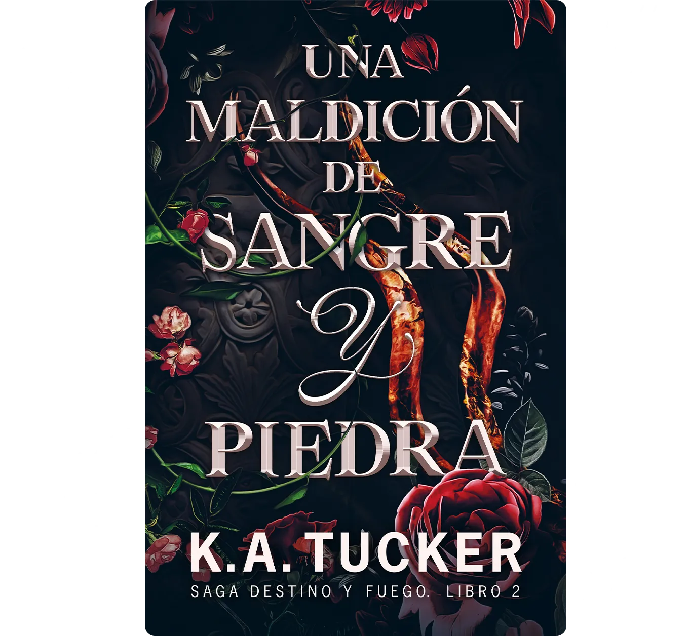 Libro Una Maldicion De Sangre Y Piedra - Tucker, K.a.